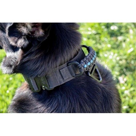 K9 Taktisches Halsband "Thin Blue Line" by Oenk9